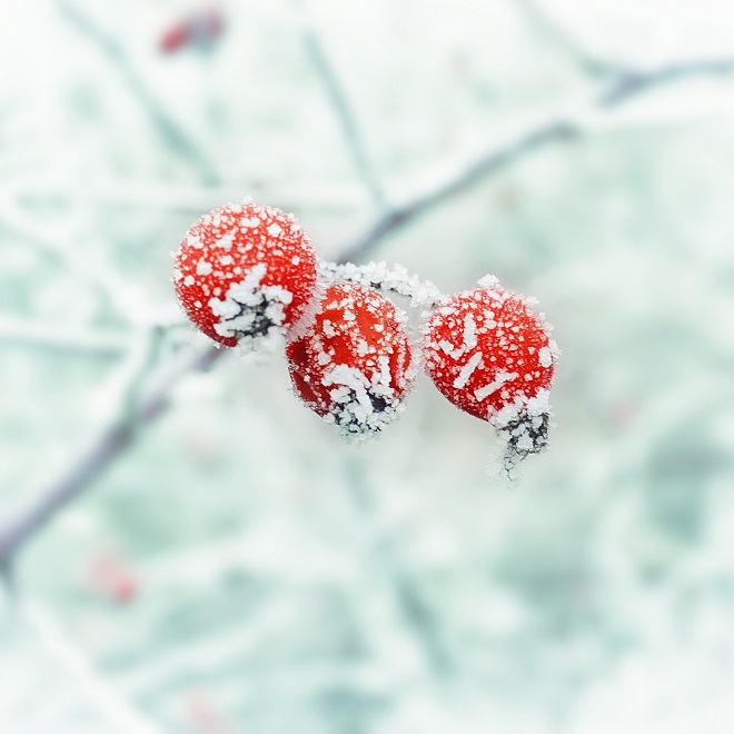 小雪，帶孩子一起感受濃郁冬韻