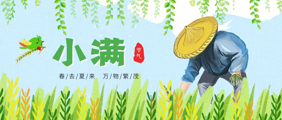 當小滿與5·21“撞”個滿懷