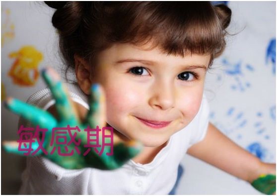 京華合木：幼兒敏感期對家長和教師的啟示（中班）