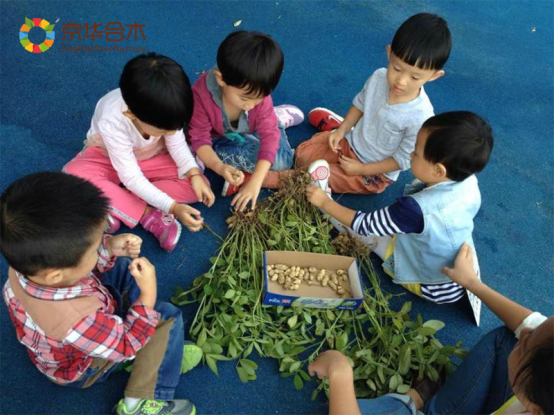 德培DAP：DAP如何讓孩子在生活中學習數