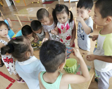 京華合木幼兒園德培DAP課堂案例：豐收歡樂多