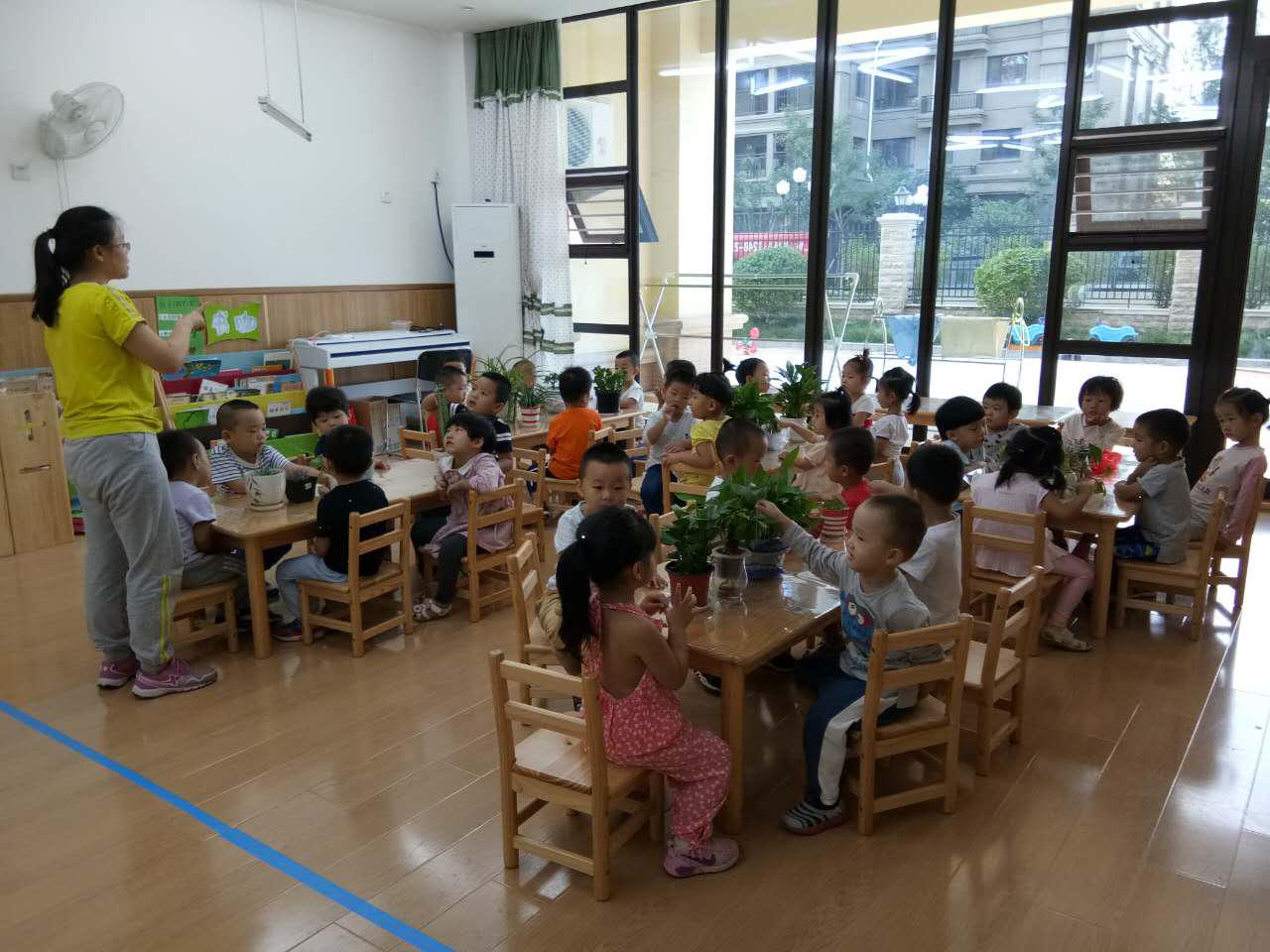 京華合木恒大棕櫚島幼兒園德培DAP教育案例：小花慢慢長大（小