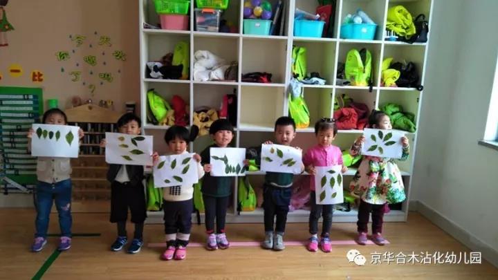 京華合木沾化幼兒園課堂案例：秋天