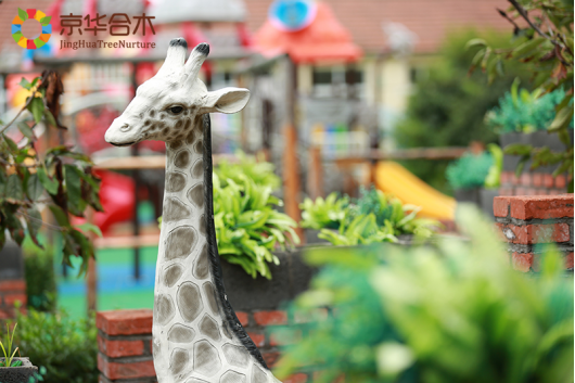 最新幼兒園加盟：河北邯鄲京華合木幼兒園