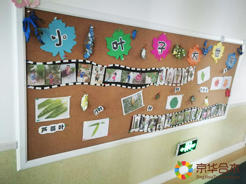【人民網】我國首次對省級政府履行教育職責情況進行評價