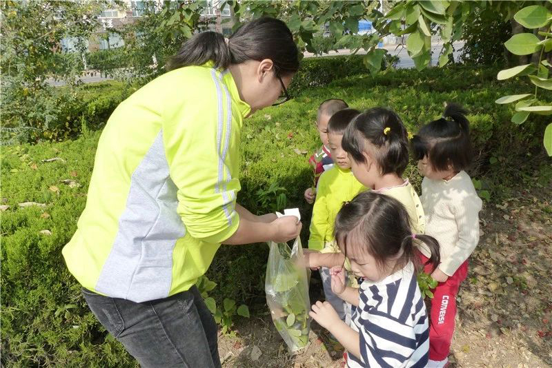 【教育部】《中共中央 國務院關于學前教育深化改革規范發展的若干意見》有關情況介紹