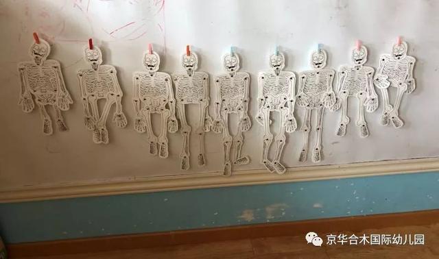 京華課題：神奇的骨骼